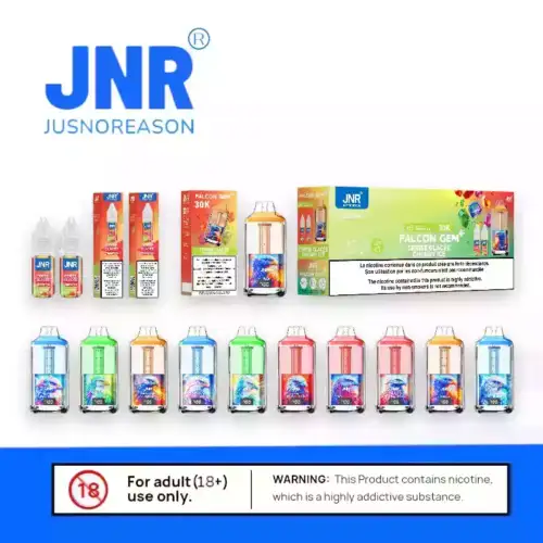 JNR Falcon GEM 30000 PUFF Dual Mesh Coil Vape