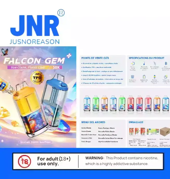 JNR Falcon GEM 30000 PUFF Dual Mesh Coil Vape