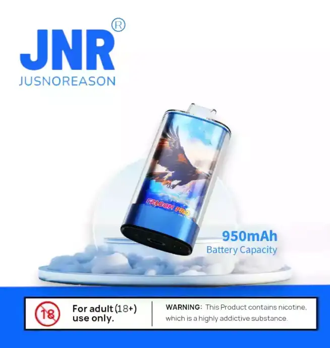 JNR Falcon Pro 28K Puffs Wie lange hält die