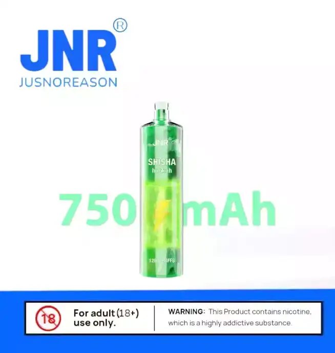 JNR Shisha 12K Puffs – USB Type-C intensiver
