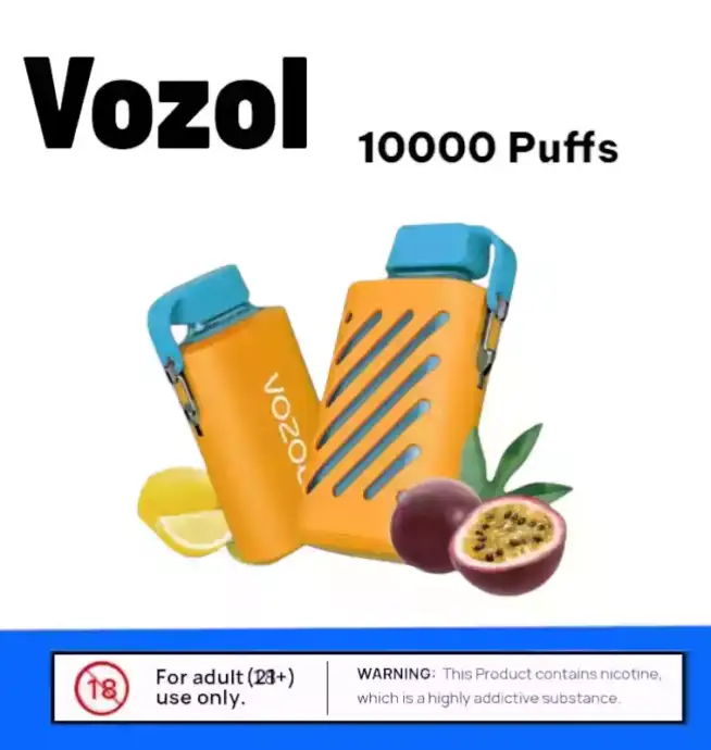 Vozol Gear 10000 Puffs Einweg Vape