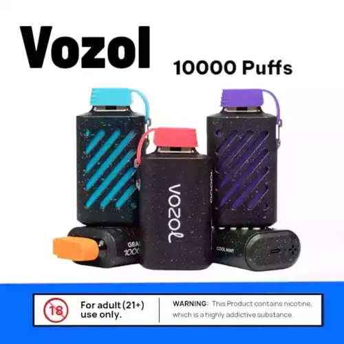 Vozol Gear 10000 Puffs Einweg Vape