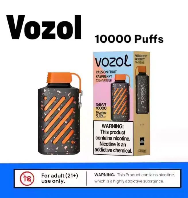 Vozol Gear 10000 Puffs Einweg Vape