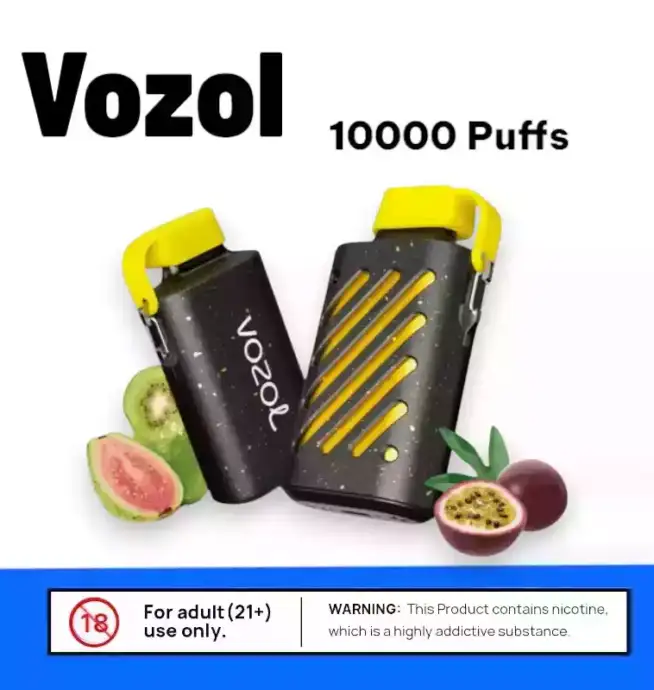 Vozol Gear 10000 Puffs Einweg Vape