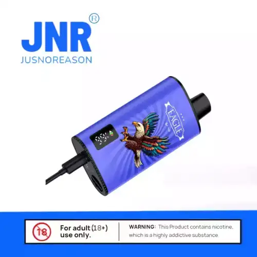 Wie lange hält die JNR EAGLE 23000 Puffs