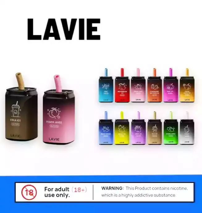 LAVIE Aurora 11000 PUFFS mit & USB-C Vape