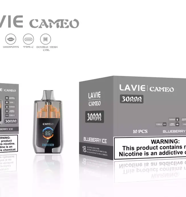 LAVIE CAMEO 30000 Puffs – Vape mit Ausdauer & Geschmack