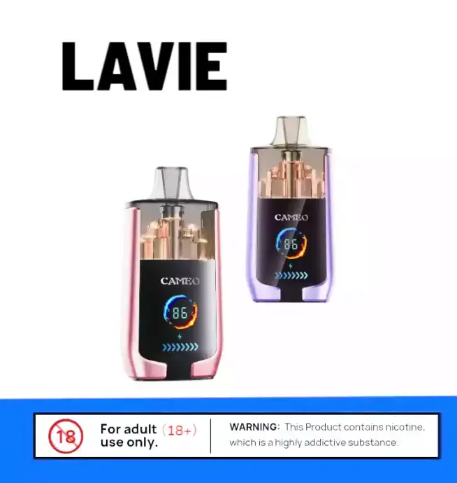 LAVIE CAMEO 30000 Puffs – Vape mit Ausdauer & Geschmack