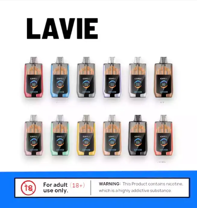 LAVIE CAMEO 30000 Puffs – Vape mit Ausdauer & Geschmack