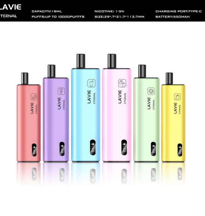 LAVIE Eternal 10000 – Stilvoll, stark & kompakt