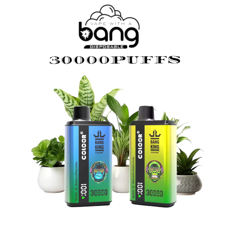 BANG King 30000 Puffs – Vape Jetable