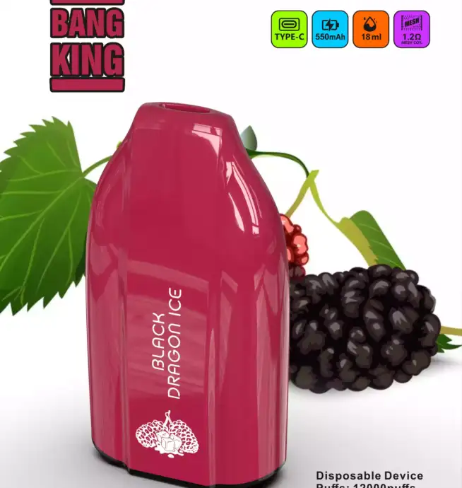 Bang King 12000 Puffs – Vape Jetable