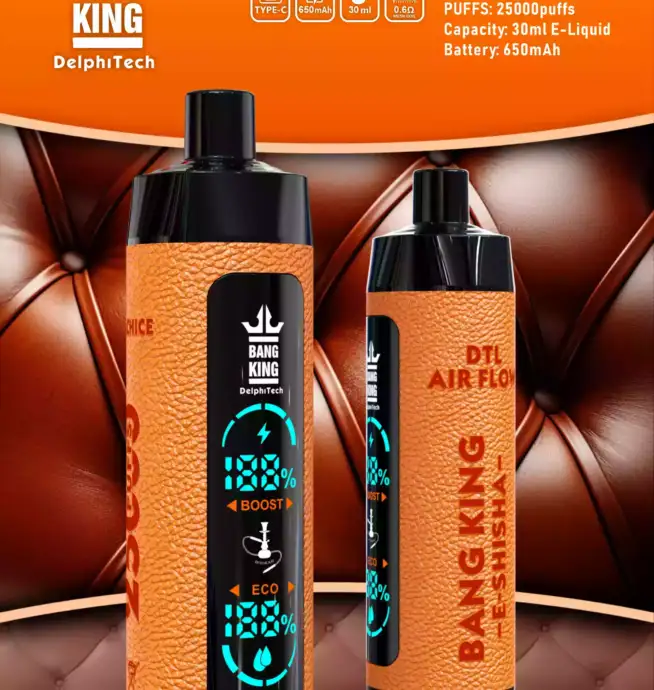 Bang King 25000 Puffs – Étui Cuir