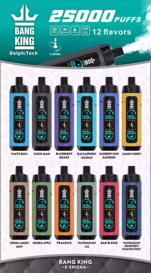 Bang King 25000 Puffs – Étui Cuir