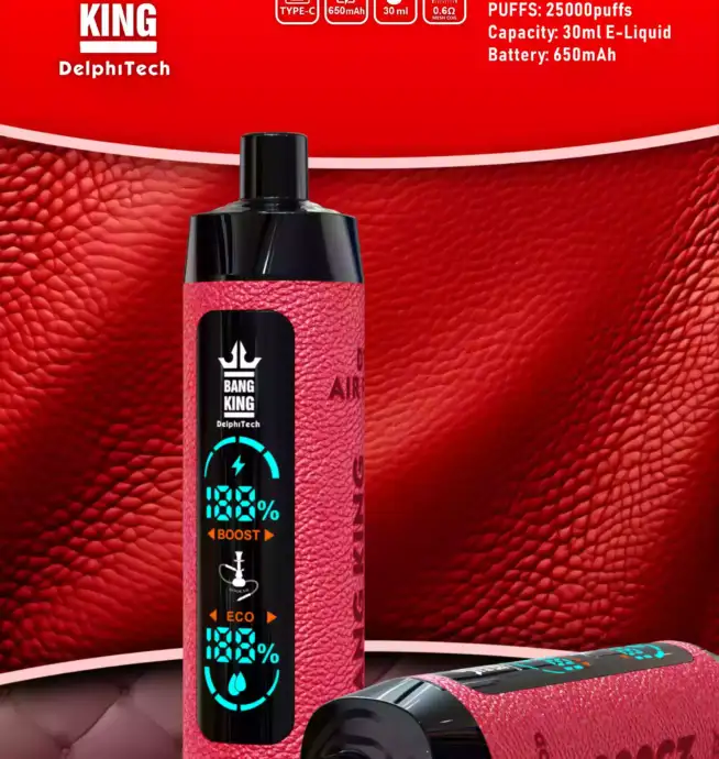 Bang King 25000 Puffs – Étui Cuir