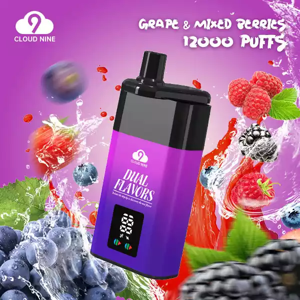 CLOUD NINE D19P 9000 – Vape Jetable