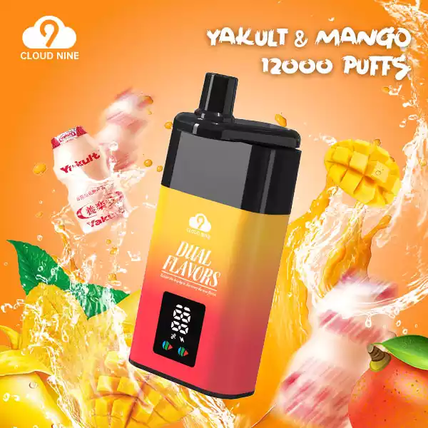 CLOUD NINE D19P 9000 – Vape Jetable