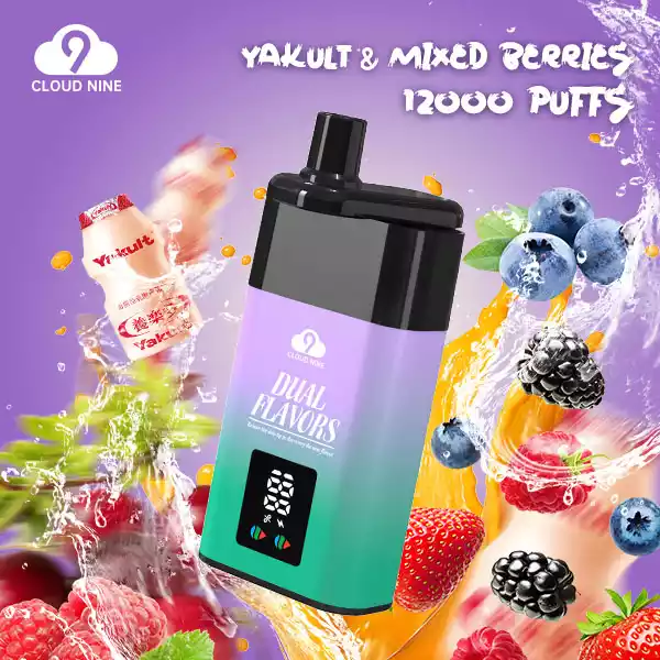 CLOUD NINE D19P 9000 – Vape Jetable
