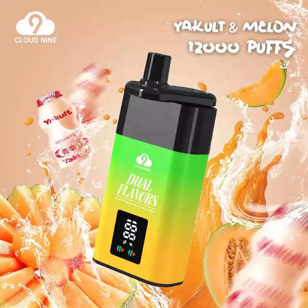 CLOUD NINE D19P 9000 – Vape Jetable