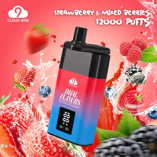 CLOUD NINE D19P 9000 – Vape Jetable
