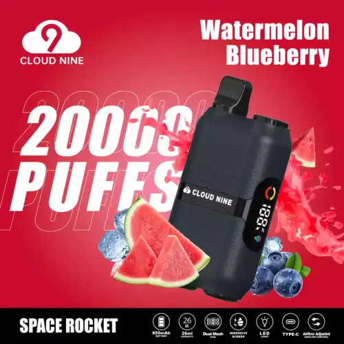 CLOUD NINE D33 28000 – Vape Jetable